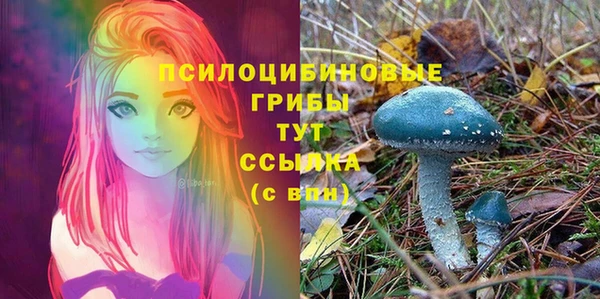 каннабис Абаза