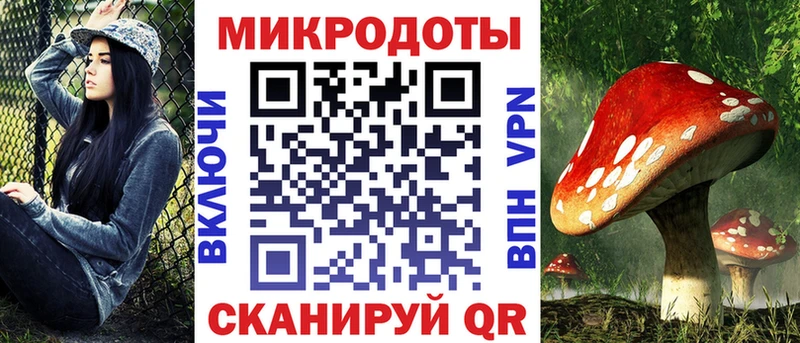 Псилоцибиновые грибы Psilocybe  Новосиль 